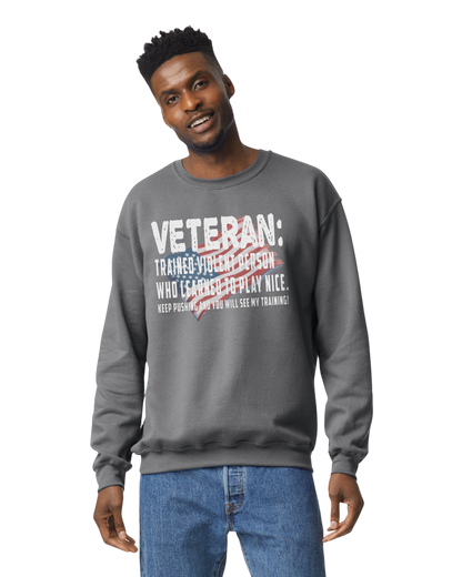 Veteran: Trained Violent Person Unisex T-Shirt/Hoodie/Sweatshirt